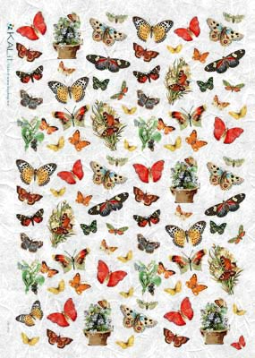 Colorful Butterflies A4